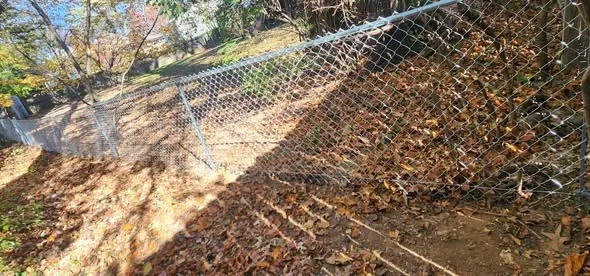 Chain link fence following the grade of a sloped wooded yard